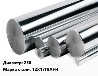 Круг нержавеющий 250 Сталь: 12Х17Г9АН4